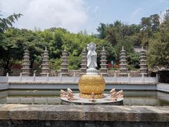 -泰山风景名胜区-普照寺