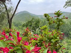 -周口店北京人遗址公园