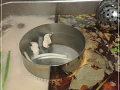 -新辣道鱼火锅(世纪金源购物中心店)