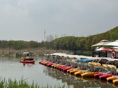 -同里国家湿地公园