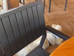 -泰堤坊(淡水体育馆店)