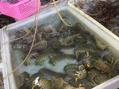-拉威海鲜市场