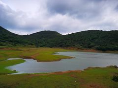 -大姆山草场