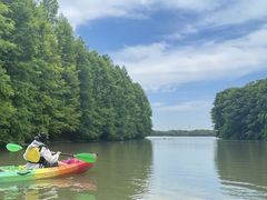 -上海海湾国家森林公园