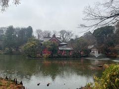 -井之头恩赐公园