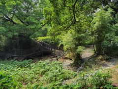 -晓港公园