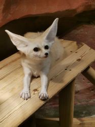 -Zoolung Zoolung动物主题公园(海信广场店)