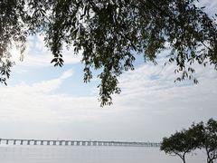 -宝安西湾红树林湿地公园