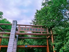-牛背梁国家森林公园