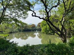 -西溪国家湿地公园