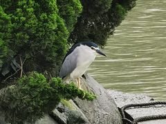 -苏州河梦清园环保主题公园