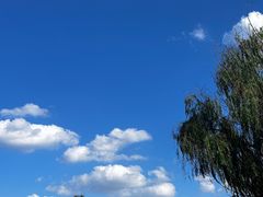 -昆山城市生态森林公园