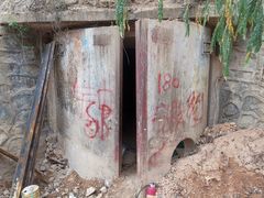 -黄埔油麻山森林公园