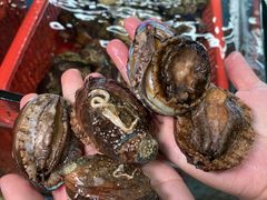 -达叔香味海鲜(海棠68环球美食街店)