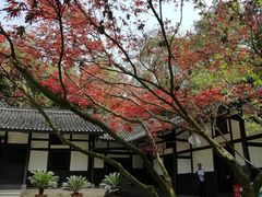 -邓小平故里