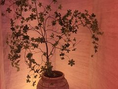 -舒小悦·舒养SPA·古法推拿(光环中心店)