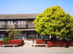 -台儿庄古城