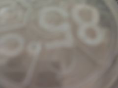 -85度C(上海茶陵北路店)