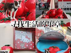 -沈阳铁西万象汇