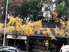 -金龙·打边炉(南京西路店)