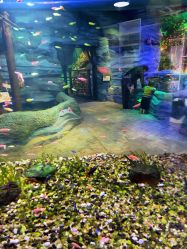 -酷嗒动物文化乐园(cutezoo西溪乐天城店)