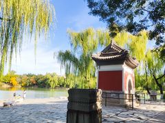 -北京大学