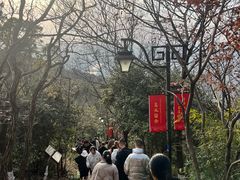 -杭州半山国家森林公园