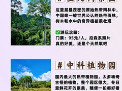 -西双版纳傣族园