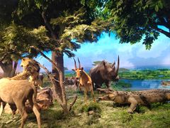 -国家自然博物馆