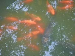 -丝绸小镇荻港古村