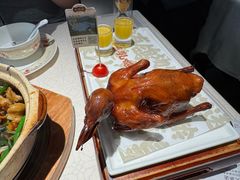 -大鸽饭(岗顶店)