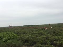 -北海金海湾红树林生态旅游区