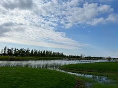 -春花秋色城市公园