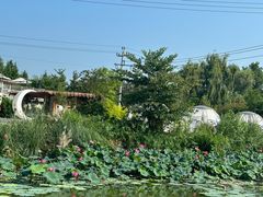 -桤木河湿地公园