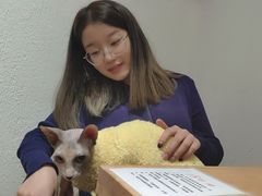 -猫色咖啡·猫咖