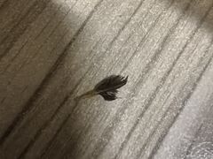 -攸州小镇家湘菜(小米科技园店)