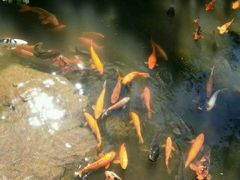 -云南民族大观园