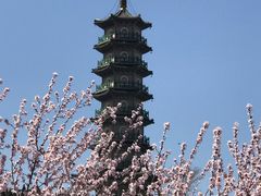 -辛安庄鸡鸣山景区