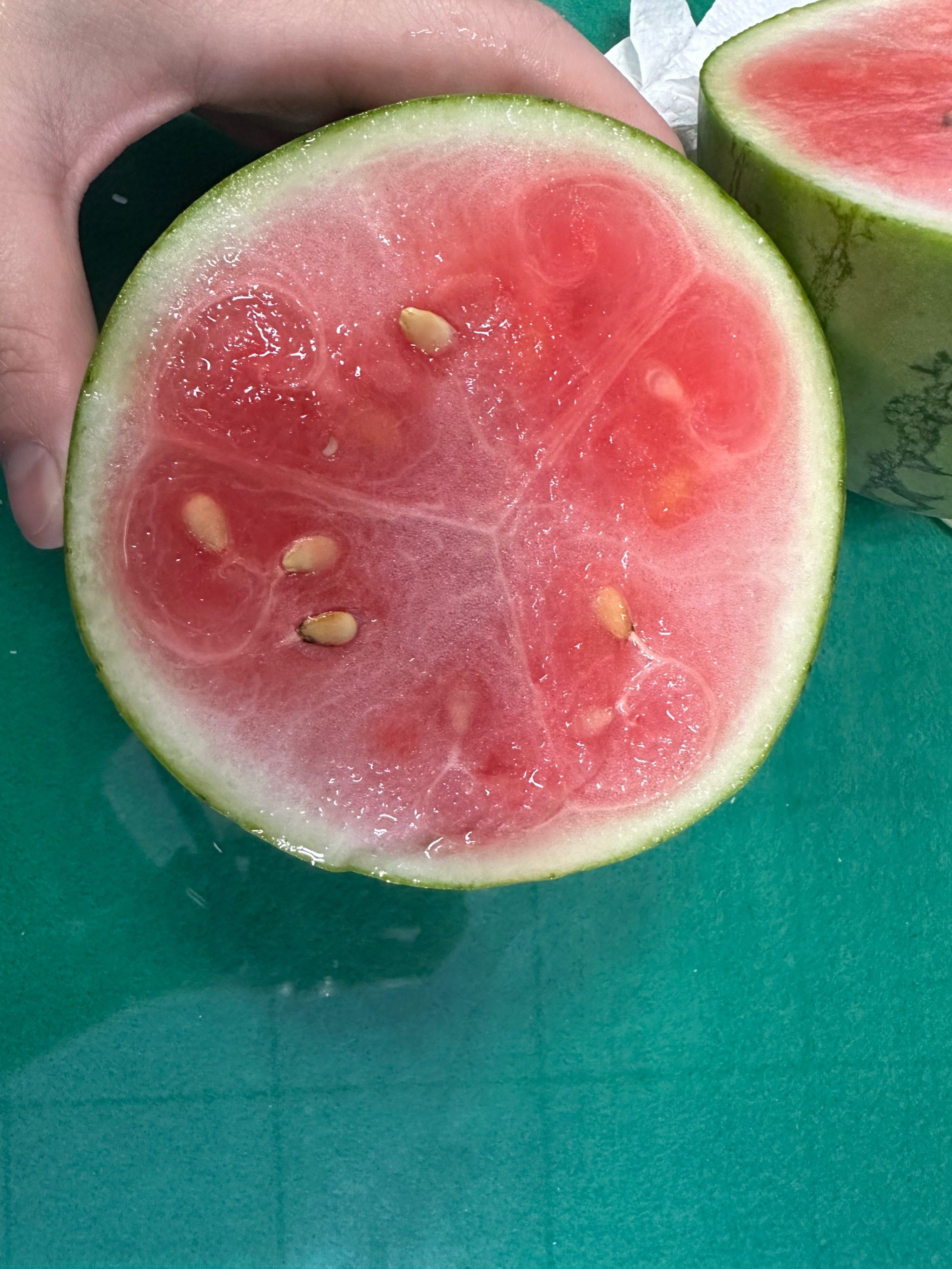 这种生瓜蛋子是哪些大冤种在买啊?