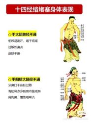 -香薇妮丝女子减肥院