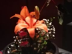 花艺-初花·日本料理