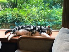 -咖法森林·咖啡  酒吧(天河店)