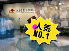 -河南自然博物馆