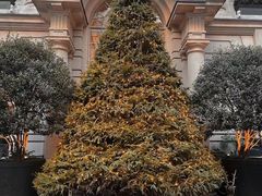 -淮国旧H22·中古店