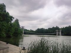 -东湖落雁景区