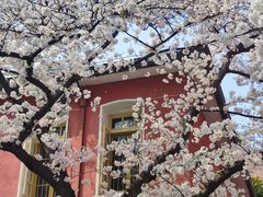 -浙江省杭州高级中学(贡院校区)