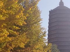-玲珑塔公园