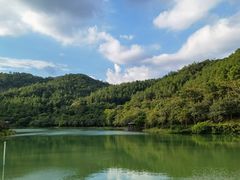 -广州白江湖森林公园