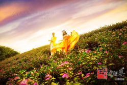 9I0C3664_缩小大小1-现代经典婚纱摄影(光明北路尊荣总店)