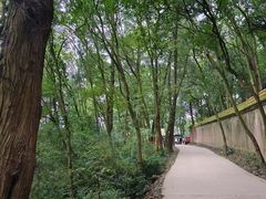 -金堂县云顶石城风景区